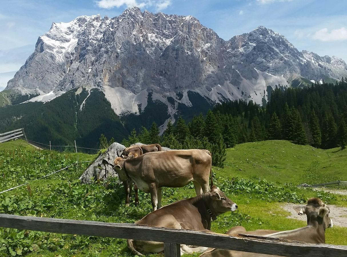 Das Halali - Dein Kleines Hotel An Der Zugspitze Ehrwald Exteriör bild