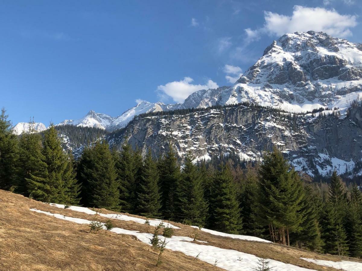 Das Halali - Dein Kleines Hotel An Der Zugspitze Ehrwald Exteriör bild